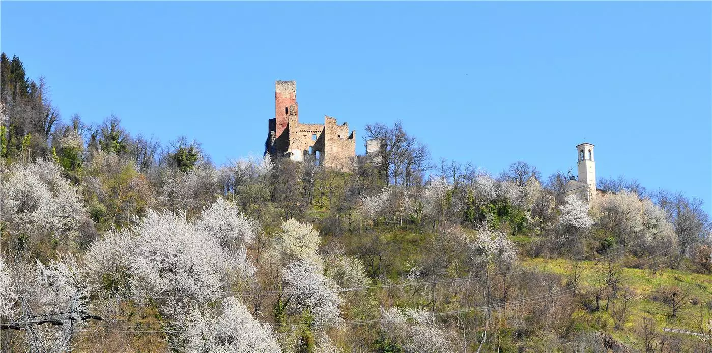 Comune di Nucetto